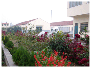 大理优质丙烯酸酯涂料生产厂家